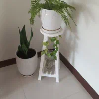 گل طبیعی آپارتمانی سرحال سرخس و سانسوریاهمراه پایه