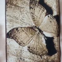 پادری کاملا تمیز و سالم...