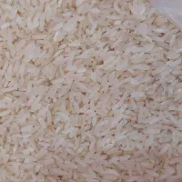 برنج فجرشیراز