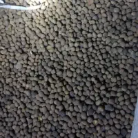 ماشک