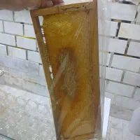 عسل طبیعی به صورت خرده و عمده