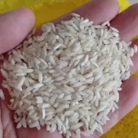 برنج عنبربو فوق معطر رضایی فوق ممتاز دانه سالم