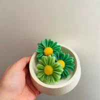 شمع بابونه