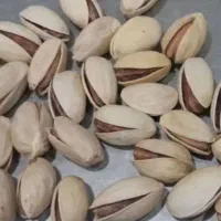 پسته کله قوچی درشت