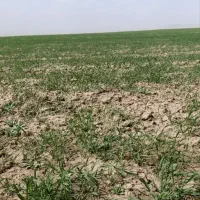 خاک فروشی آجر