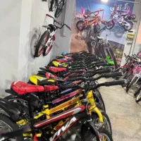 دوچرخه کلاسیک اطمینان از اصالت کالا ۰/