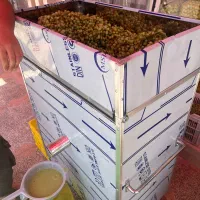 آبغوره گیری با جدیدترین دستگاه صنعتی