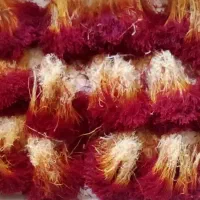 سر گل|گل و گیاه طبیعی|طبس, |دیوار