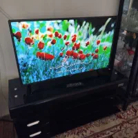 ال ای دی 43 اینج