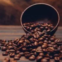 پخش عمده و خورده قهوه(برادران چروکی)
