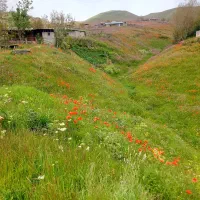 زمین-مسکونی-کلور