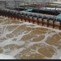 استخدام کارشناس آقا