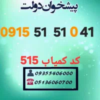 0915.51.51.041 کد کمیاب 515