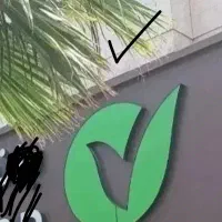 باماتماس بگیرید