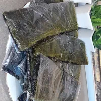 قورمه سبزی و کرفس  پر سرخ مجلسی اعلا