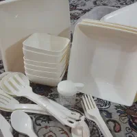 ظرف  مسافرتی