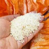 برنج هاشمی درجه یک