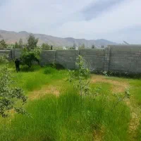 باغ فروشی جاده تربر  جعفری ورودی مجموعه