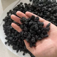 کشمش مویز سیاه بیدانه درگز