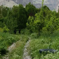 زمین-25متری