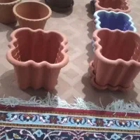 گلدان|گل و گیاه طبیعی|اردبیل, |دیوار