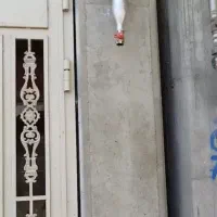 مجری لوله گشی گاز خانگی اقساط ۳ماهه