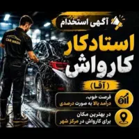 نیروی کارواش کار