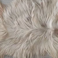 پوست تزیینی