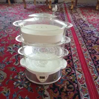 بخار پز