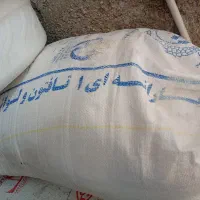 آرد گندم