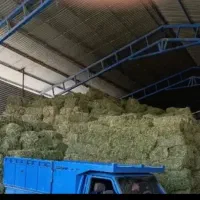 فروش یونجه و ارد وسبوس