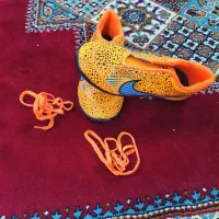 کفش ورزشی