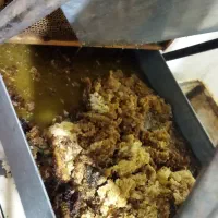 عسل و ژل رویال به همراه موم