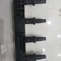 کوئل رانایی کروز