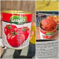 رب گوجه فرنگی قوطی 800 گرمی دلیسا