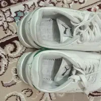 کتانی|کیف، کفش، کمربند|شیروان (خراسان), |دیوار