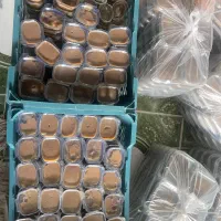 سمنو|عمدهفروشی|یاسوج, |دیوار