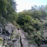 گروه دوستانه