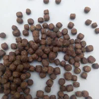 غذای گرانول ماهی کوی و گلدفیش