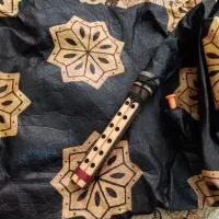 نی همبون سل ساز