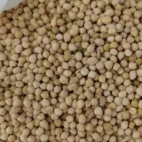 نخود محلی ریز