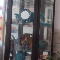 ویترین