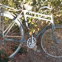 دوچرخه چینی سه مار قدیمی