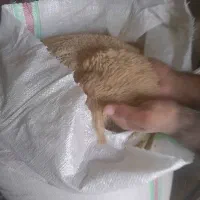 خوراک دام سبوس