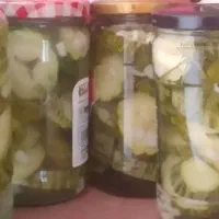 خیار شور چمبر