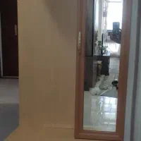 جاکفشی
