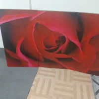 تابلو سه تیکه بزرگ صحیح و سالم