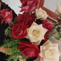 گل رز رو میزی