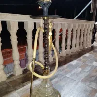قیلون مارک ولوف