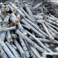 خریدانواع چوب میوه